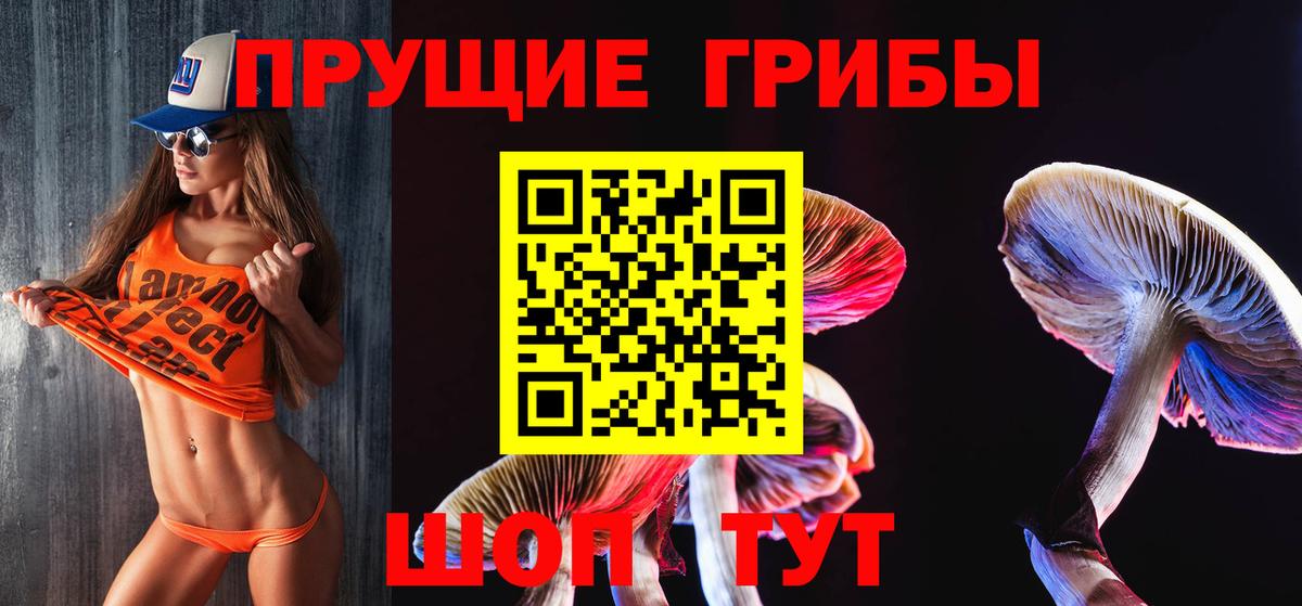 Кстово  Галлюциногенные грибы Cubensis  Псилоцибиновые грибы Cubensis  Вход с VPN 