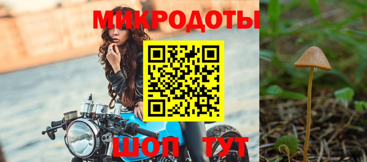 Псилоцибиновые грибы Cubensis Кстово